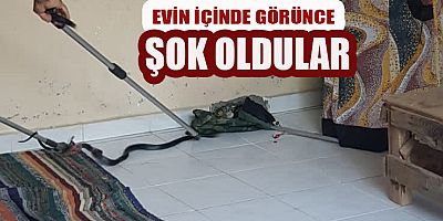 İTFAİYE EKİPLERİ YAKALADI