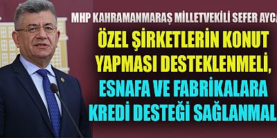 MİLLETVEKİLİ AYCAN ÖZEL ŞİRKETLERİN KONUT YAPMASI TEŞVİK EDİLMELİ