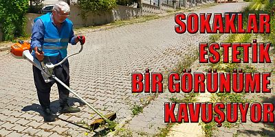 ONİKİŞUBAT’TA YABANİ OTLAR TEMİZLENİYOR