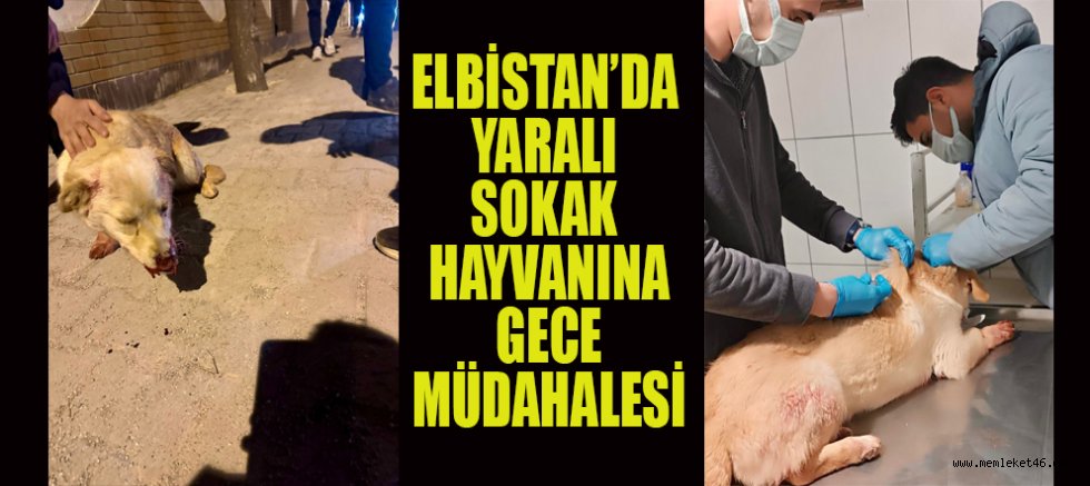 BAŞKAN ERKAN GÜRBÜZ: “HER CAN BİZE EMANETTİR”