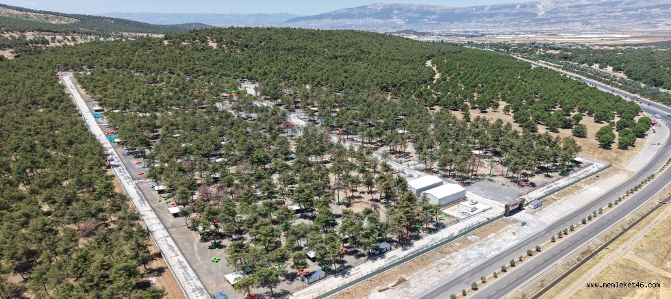 Büyükşehir ve Sahipsiz Hayvanları Koruma Birliği’nden 5 Binin Üzerinde Can Dostuna Güvenli Yaşam Alanı