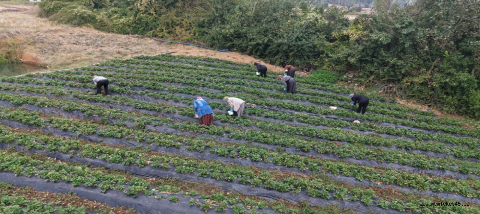 KADINLARIN EMEĞİ “KAHRAMAN KADIN” PLATFORMU İLE DAHA GENİŞ KİTLELERE ULAŞIYOR