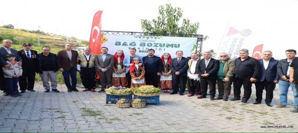 KAHRAMANMARAŞ BERTİZ BUDAKLI’DA GELENEKSEL BAĞ BOZUMU COŞKUSU: ÜZÜMLER HASAT EDİLDİ