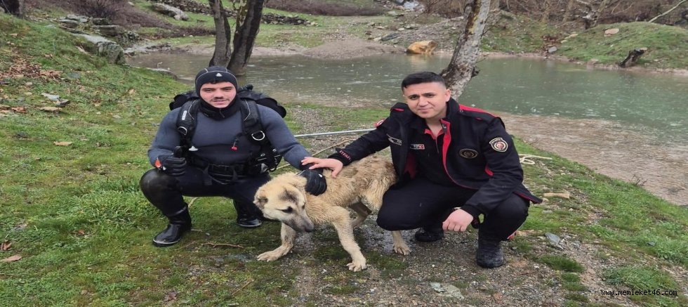 KAHRAMANMARAŞ’TA MAHSUR KALAN KÖPEK KURTARILDI
