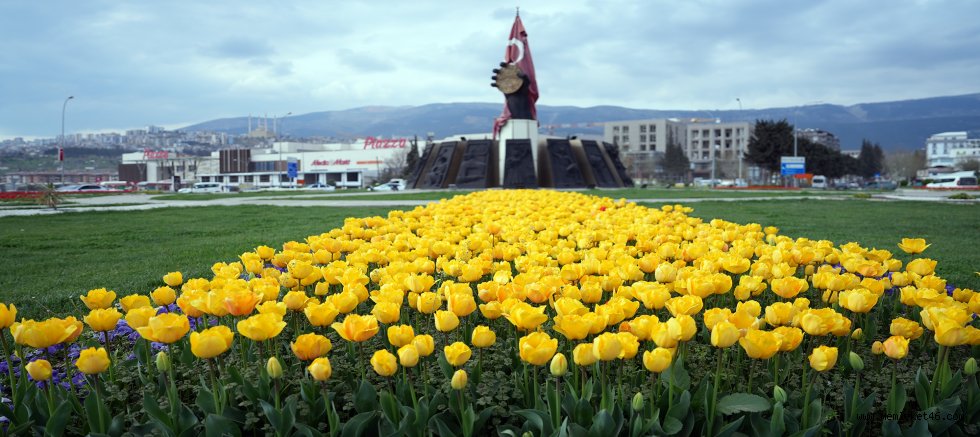 ŞEHİR ÇİÇEK AÇTI KAVŞAKLARDA GÖRSEL ŞÖLEN