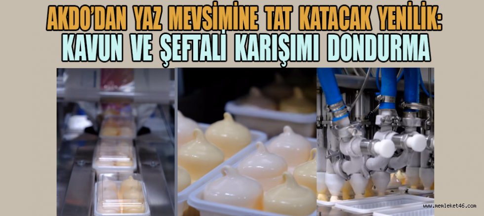 YENİLİK AKDO'DAN SORULUR