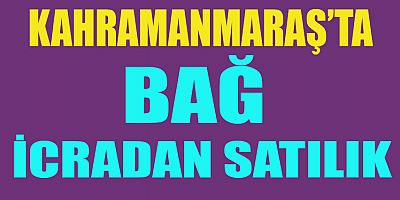 13 BİN 177 METREKARE BAĞ İCRADAN SATILIK