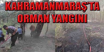 14 DÖNÜM ALAN ZARAR GÖRDÜ