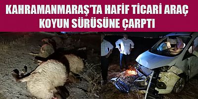 30 ADET KOYUN TELEF OLDU