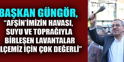 AFŞİN AROMATİK YAĞLAR VE ARI ÜRÜNLERİ FESTİVALİ BAŞLADI