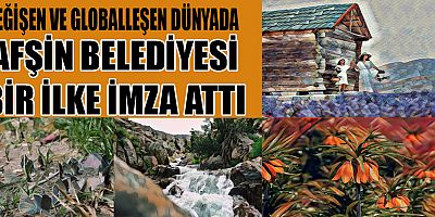 AFŞİN’İN DEĞERLERİ NFT OLUYOR…