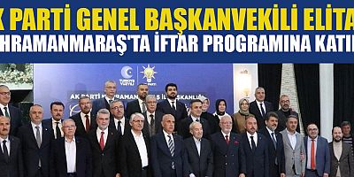 AK Parti Genel Başkanvekili Mustafa Elitaş