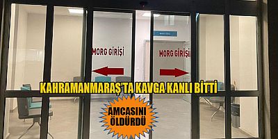 AMCASINI BIÇAKLA ÖLDÜRDÜ