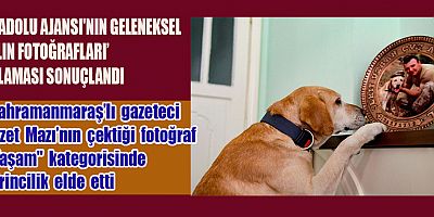 ANADOLU AJANSI'NIN GELENEKSEL ‘YILIN FOTOĞRAFLARI’ OYLAMASI SONUÇLANDI