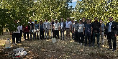 ANAHTAR PARTİ’DEN BERTİZ KABASAKAL’DA CEVİZ HASADI: ÇİFTÇİLER MALİYETLERDEN VE YABAN DOMUZLARINDAN DERTLİ