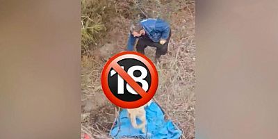 ANDIRIN’DA TOPLU KÖPEK ÖLÜMLERİ TEPKİ ÇEKTİ