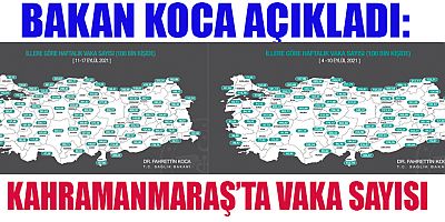 BAKAN KOCA, İLLERE GÖRE HER 100 BİN KİŞİDE GÖRÜLEN COVİD-19 VAKA SAYILARINI AÇIKLADI