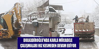 BAŞKAN AKPINAR: 