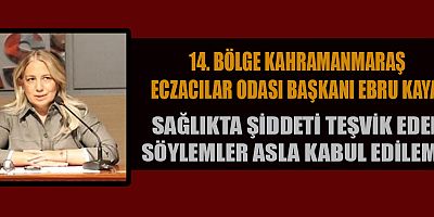 BAŞKAN EBRU KAYA ŞİDDET, SAĞLIK SİSTEMİNİ SARSIYOR