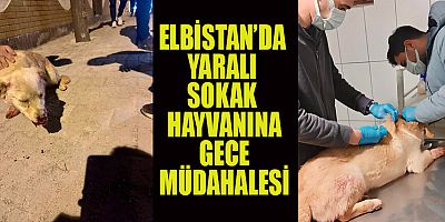 BAŞKAN ERKAN GÜRBÜZ: “HER CAN BİZE EMANETTİR”