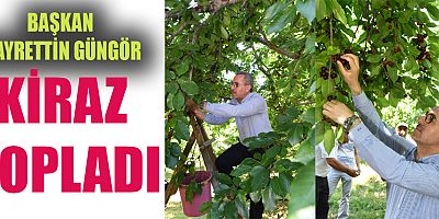 BAŞKAN GÜNGÖR “ÇİĞŞAR KİRAZI’NIN MARKA DEĞERİNİ ARTIRACAĞIZ”