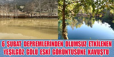 BAŞKAN GÜNGÖR: YEŞİLGÖZ ESKİ GÜZELLİĞİNE VE ESKİ YEŞİLİNE TEKRAR KAVUŞTU