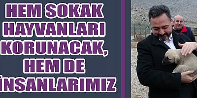 BAŞKAN GÜRBÜZ: HAYVANLARIN SOKAKTA SAHİPSİZ KALMALARINI İSTEMİYORUZ