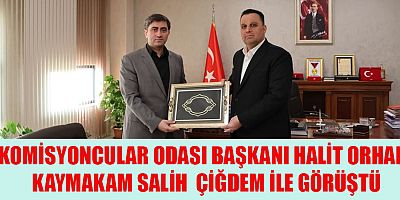Kahramanmaraş’ın Kabzımallar ve Komisyoncular Odası Başkanı Halit Orhan