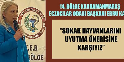 BAŞKAN KAYA SOKAK HAYVANLARI YAŞATILMALI
