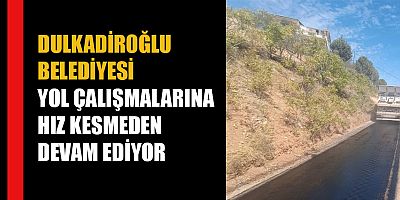 BAŞKAN MEHMET AKPINAR: 