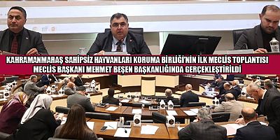 BAŞKAN MEHMET BEŞEN: SOKAKTAKİ CANLARIMIZ İÇİN ÖNEMLİ KARARLAR ALDIK