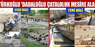 BAŞKAN OKUMUŞ, 'DADALOĞLU ÇATALOLUK MESİRE ALANI' TÜRKOĞLU’MUZUN EN GÜZEL KÖŞELERİNDEN BİR TANESİ
