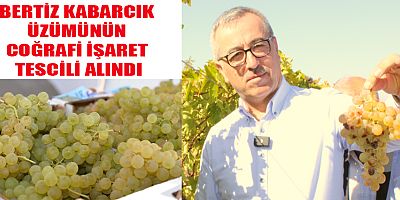 BERTİZ KABARCIK ÜZÜMÜNÜN COĞRAFİ İŞARET TESCİLİ ALINDI