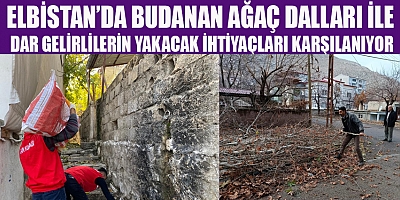 BUDANAN AĞAÇ DALLARI, DAR GELİRLİ AİLELERE ULAŞTIRILIYOR