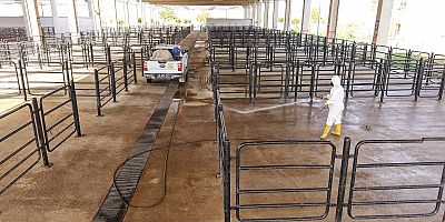 BÜYÜKŞEHİR’DEN CANLI HAYVAN PAZARI’NDA HALK SAĞLIĞI İÇİN KAPSAMLI ÇALIŞMA