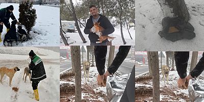 BÜYÜKŞEHİR’DEN SOKAK HAYVANLARI İÇİN 1 TON MAMA