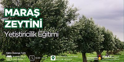BÜYÜKŞEHİR’DEN ZEYTİN ÜRETİMİNE KATMA DEĞER MARAŞ ZEYTİNİ YETİŞTİRİCİLİĞİ EĞİTİMİ