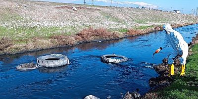 BÜYÜKŞEHİR, HALK SAĞLIĞI İÇİN ZARARLILARLA MÜCADELESİNİ KARARLILIKLA SÜRDÜRÜYOR
