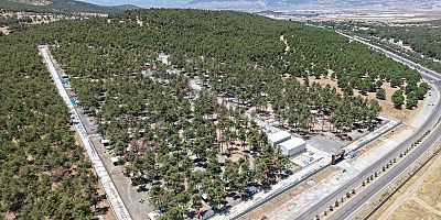 Büyükşehir ve Sahipsiz Hayvanları Koruma Birliği’nden 5 Binin Üzerinde Can Dostuna Güvenli Yaşam Alanı