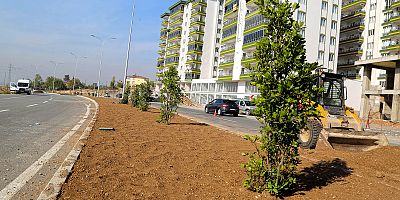 CADDE VE BULVARLAR AĞAÇLARLA GÜZELLEŞTİRİLİYOR