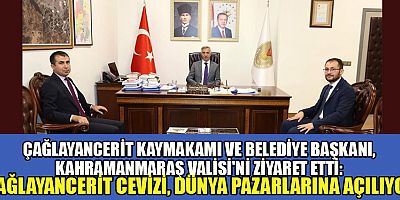 ÇAĞLAYANCERİT 8. CEVİZ VE KÜLTÜR FESTİVALİ HEYECANLA BEKLENİYOR
