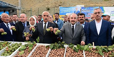 “ÇAĞLAYANCERİT CEVİZİ MARKALAŞACAK, ÇİFTÇİMİZ KALKINACAK”