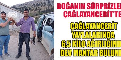 ÇAĞLAYANCERİT, DOĞASEVERLERİN YENİ ROTASI
