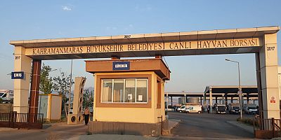 CANLI HAYVAN BORSASI’NDA PADOK KİRALAMA İŞLEMLERİ 27 MAYIS’TA BAŞLAYACAK