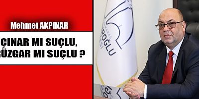 ÇINAR MI SUÇLU, RÜZGAR MI SUÇLU ?