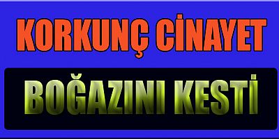 CİNNET GETİREN KADIN  HİÇ ACIMADI