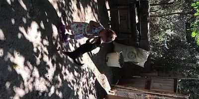   ÇOCUK İLE YAVRU KÖPEĞİN OYUNU