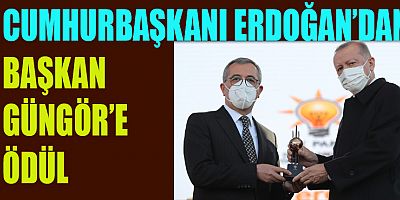 CUMHURBAŞKANI ERDOĞAN’DAN GÜNGÖR’E GENÇLİK ÇALIŞMALARI ÖDÜLÜ