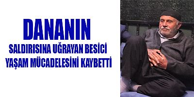 DANANIN SALDIRISINA UĞRAYAN BESİCİ ÖLDÜ