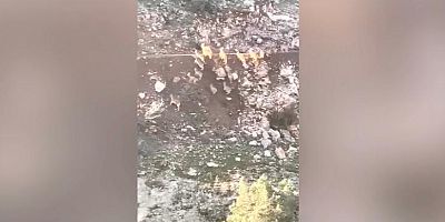 DEPREM ANINDA DAĞ KEÇİLERİNİN KAÇIŞI FOTOĞRAFLANDI